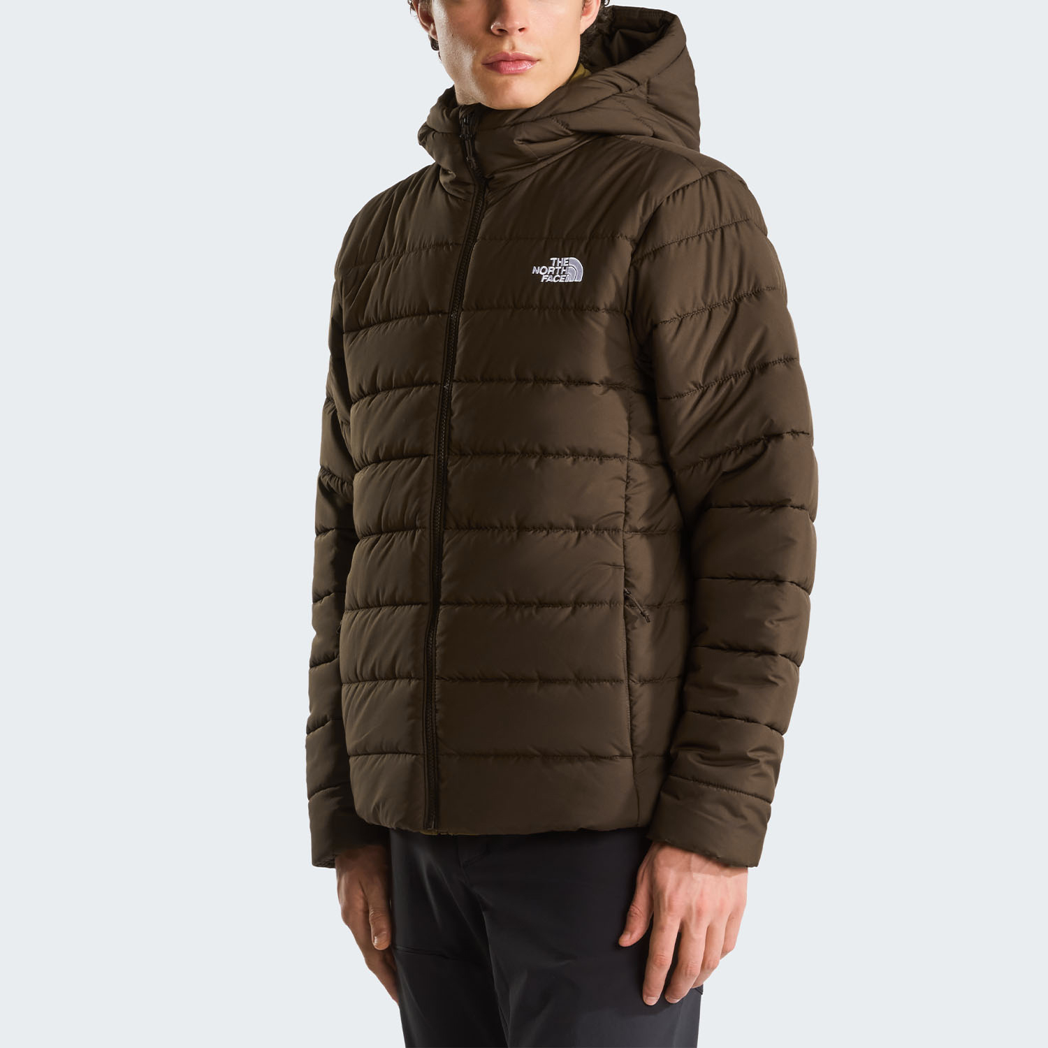 PIUMINO THE NORTH FACE ACONCAGUA HOODED JACKET DARK CHESTNUT (TNADC) 2 PIUMINO THE NORTH FACE ACONCAGUA HOODED JACKET DARK CHESTNUT (TNADC) - immagine 2